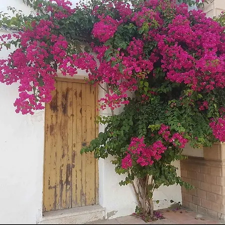 Charming Attic * Estepona
